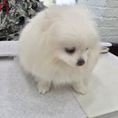 두카메디컬센터 이미지