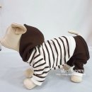 펫의류&펫소품 만들기 이미지