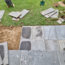 대풍원예 이미지