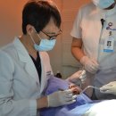 에스플란트치과병원 이미지