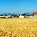 당포농장 이미지