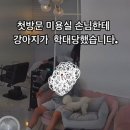 미용실 강아지 목조르는 목사 ㄷㄷㄷㄷ 이미지