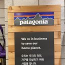 파타고니아파주점
