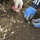 천마농장 이미지