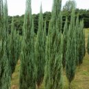 신세계농장 이미지