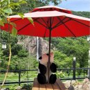 추월산 해피랜드 이미지