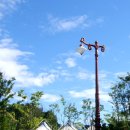 하늘을 향하여 이미지