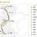금빛지니