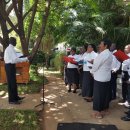 심바는 크리스마스 이미지