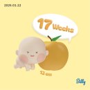 청화카드라이브 | 기록 | ~ 25주차 | 18주 첫 태동, 임산부 교통비, 청화병원 전원, 정밀초음파, 쩰리템 구매, 임산부...