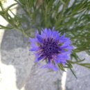 희망의메세지 이미지