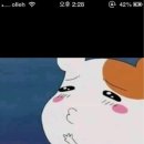 나*항