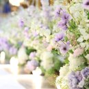 샬롬장식 이미지