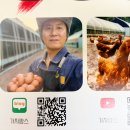 대지팜스 이미지