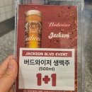 노형동주민센터 | 제주 노형동 미국식 피자 잭슨피자 노형점