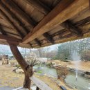 청학로132번길 | 경기도 여행지 추천 비 오는 날 운치 있는 오산대 물 향기수목원