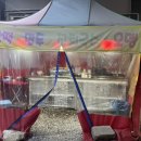 복돼지 포장마차 이미지