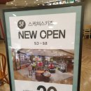 스케쳐스엔씨