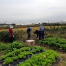 김포시농업기술센터 이미지