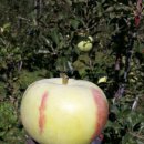 사암농장 이미지