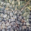 고흥사랑민박 이미지