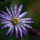 청화농장 이미지