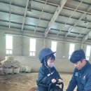 에이스태권도장 이미지