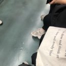 물고기 미포 이미지