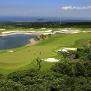 그린필드 이미지