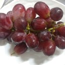 한신아파트 앞 이미지