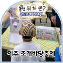 바당꽃 | 제주도 제5회 성산조개바당축제 후기 조개잡이체험
