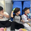 늘푸른태권도체육관 이미지