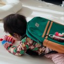 소리나는어린이집 | 만0세반 6개월 아기 어린이집 적응기 l 키즈노트 사진 대방출