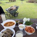 감꽃향흩날리는 이미지