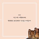 브로딕 제주 이미지