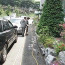 서현중학교 이미지