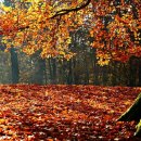 대둔산 호텔 이미지