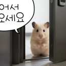크라운호프부산시민공원점