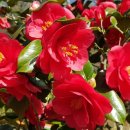 백석마을경로당 이미지