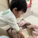 룸 504 베스타 돌스냅 내돈내산 후기
