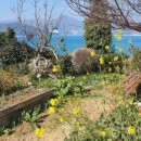 하나펜션민박 이미지