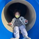 민들레 태권도장 이미지