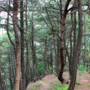 팔공산왕건길 3코스 이미지