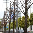 계림초등학교 후문 이미지