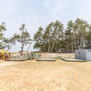 청포대휴야영장 이미지