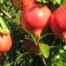 갈뫼농장 이미지