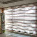 시공-나비 이미지