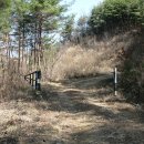 고촌농로 이미지