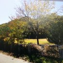 11650-7-5-7 이미지