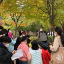 작은도서관 숲 이미지